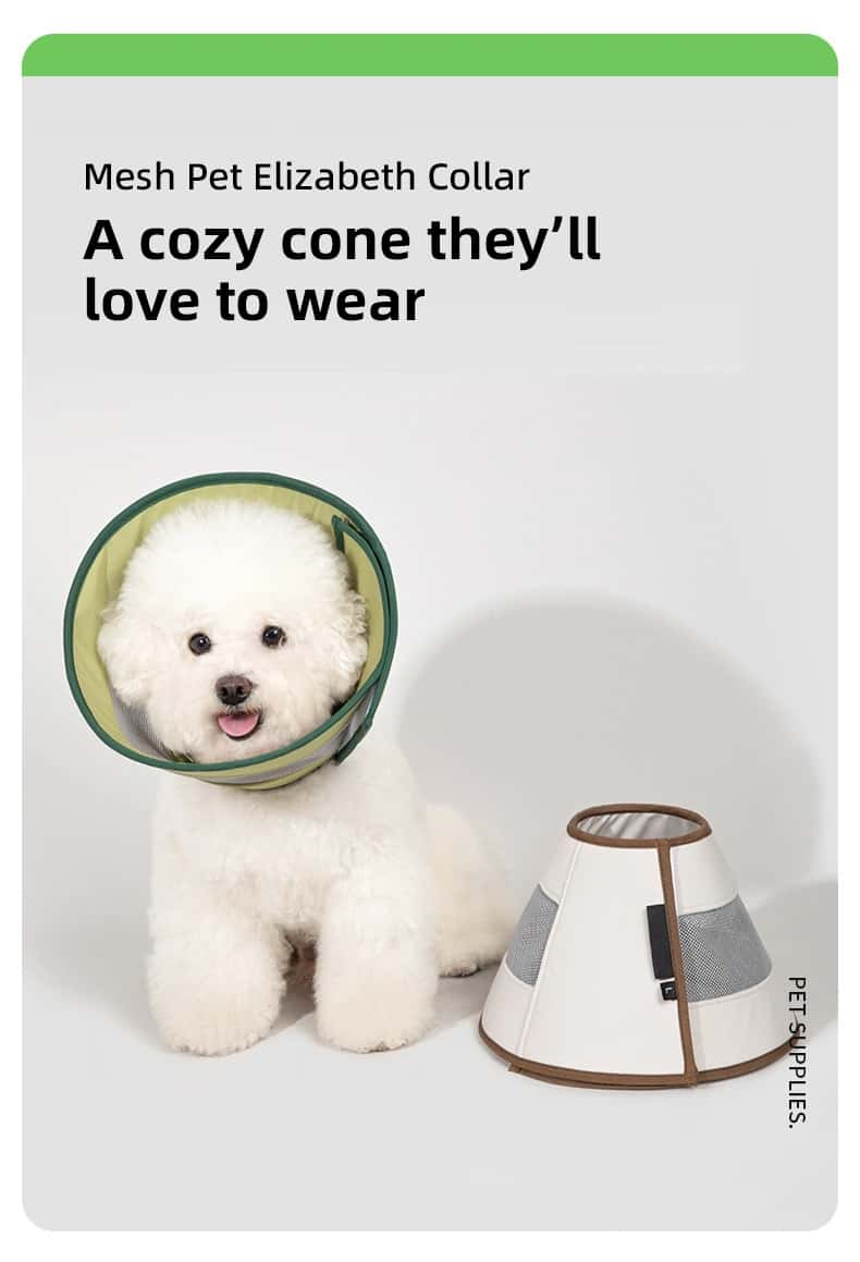 Mesh Pet Recovery Collar | Breathable Soft Adjusta
